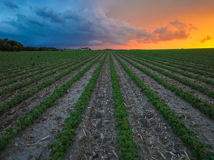 Land for sale in Fayette County, Iowa