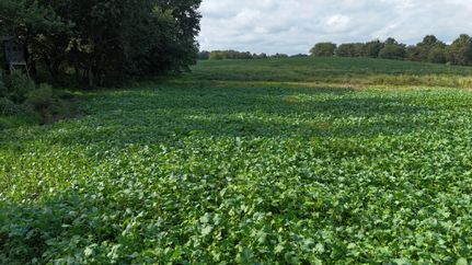 Land for sale in Lucas County, Iowa
