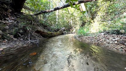 Land for sale in Lawrence County, Mississippi