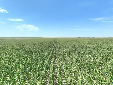 Undeveloped Land for sale in Wallace County, Kansas