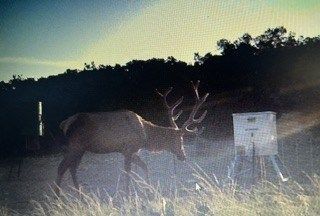 Land for sale in Edwards County, Texas