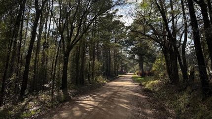 Undeveloped Land for sale in Decatur County, Georgia