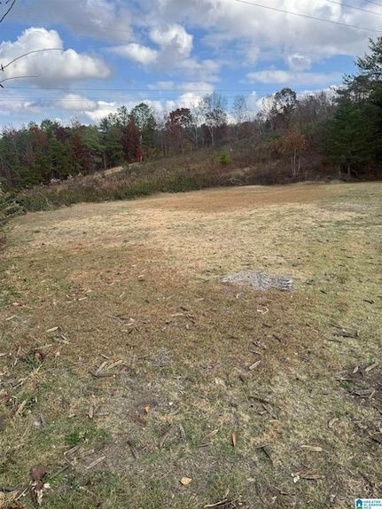 Undeveloped Land for sale in Jefferson County, Alabama