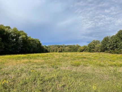 Undeveloped Land for sale in Mille Lacs County, Minnesota