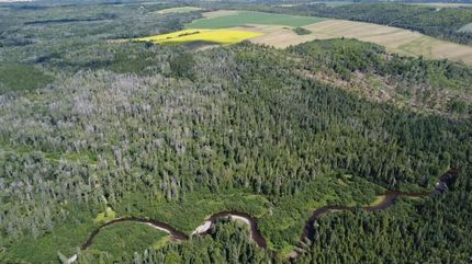 Undeveloped Land for sale in Aroostook County, Maine