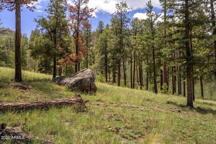 Land for sale in Apache County, Arizona