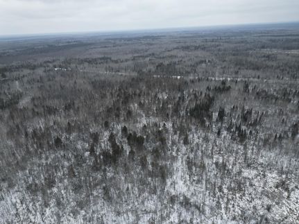Land for sale in Koochiching County, Minnesota