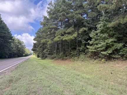 Undeveloped Land for sale in Newton County, Texas