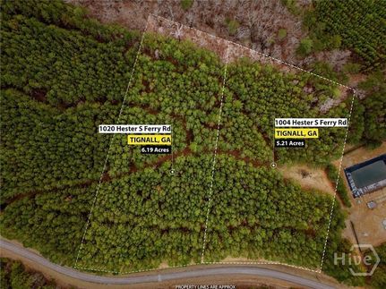 Land for sale in Lincoln County, Georgia