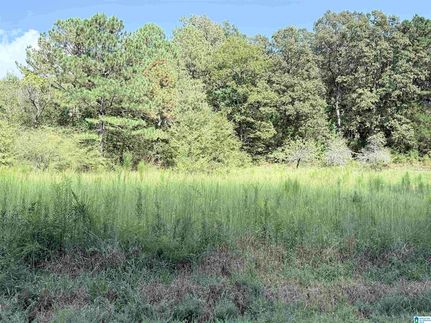 Farm and Ranch for sale in Calhoun County, Alabama