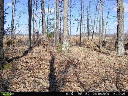 Undeveloped Land for sale in Portage County, Wisconsin