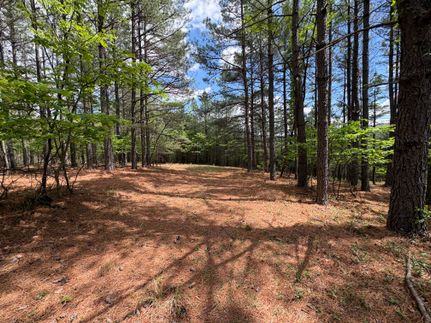 Land for sale in Hardy County, West Virginia