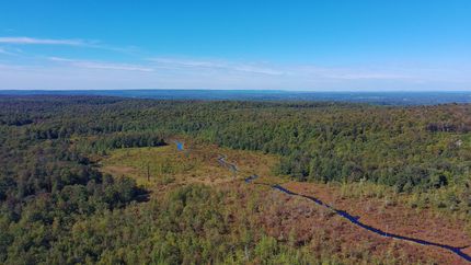 Undeveloped Land for sale in Wayne County, Pennsylvania