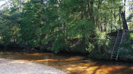 Riverfront Property for sale in Escambia County, Alabama
