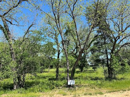 Undeveloped Land for sale in Fannin County, Texas