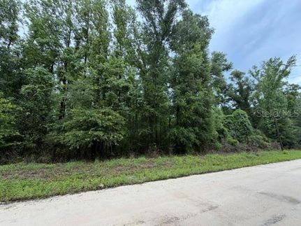 Homesite for sale in Dixie County, Florida
