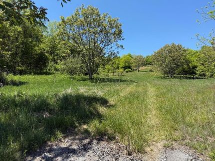 Undeveloped Land for sale in Smyth County, Virginia