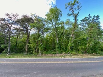 Undeveloped Land for sale in Augusta County, Virginia