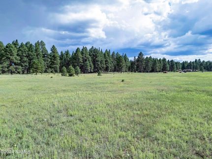 Land for sale in Coconino County, Arizona