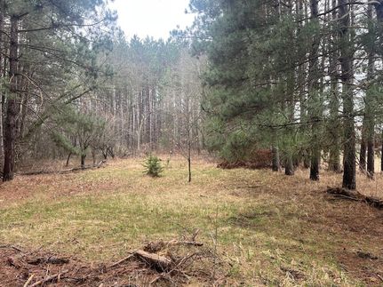 Undeveloped Land for sale in Otter Tail County, Minnesota