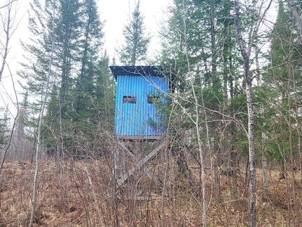 Undeveloped Land for sale in Price County, Wisconsin