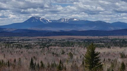Undeveloped Land for sale in Penobscot County, Maine