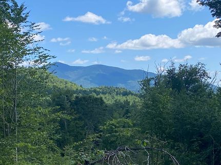 Undeveloped Land for sale in Windsor County, Vermont