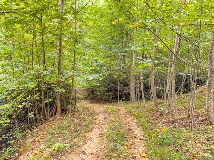 Land for sale in Carroll County, Virginia