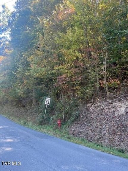 Undeveloped Land for sale in Lee County, Virginia
