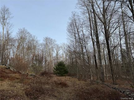 Land for sale in Sullivan County, New York
