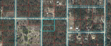 Farm and Ranch for sale in Levy County, Florida