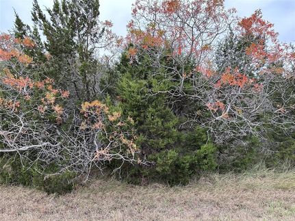 Land for sale in Hill County, Texas