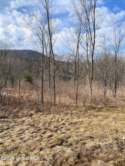 Land for sale in Albany County, New York
