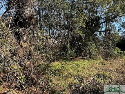 Land for sale in Chatham County, Georgia