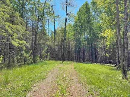 Land for sale in Ashland County, Wisconsin