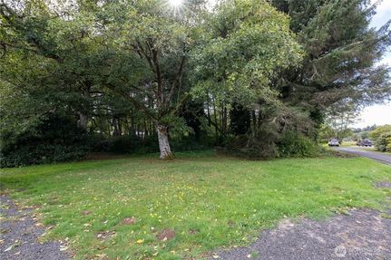 Undeveloped Land for sale in Grays Harbor County, Washington