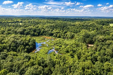 Timberland Property for sale in Nacogdoches County, Texas