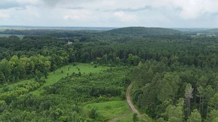 Land for sale in Lawrence County, Alabama