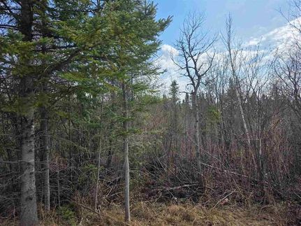 Land for sale in Cheboygan County, Michigan