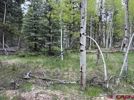 Undeveloped Land for sale in Rio Grande County, Colorado