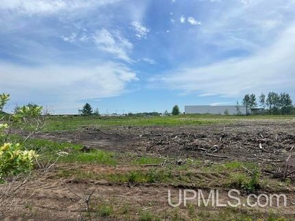 Undeveloped Land for sale in Delta County, Michigan