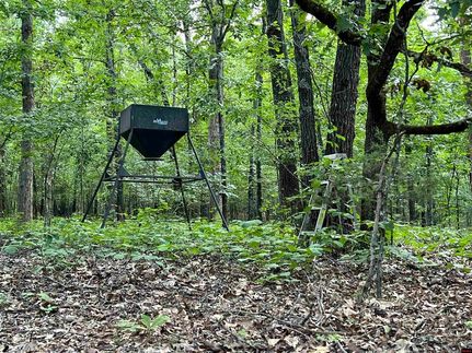 Undeveloped Land for sale in Baxter County, Arkansas