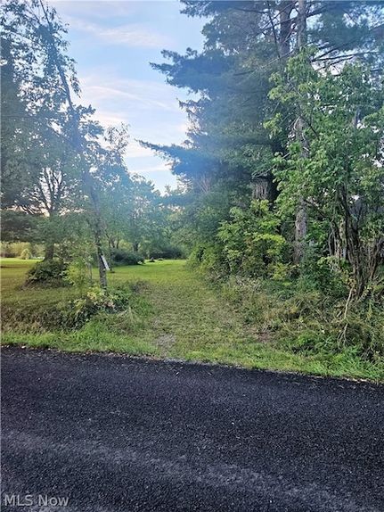 Undeveloped Land for sale in Geauga County, Ohio