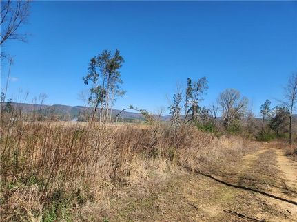 Undeveloped Land for sale in Johnson County, Arkansas