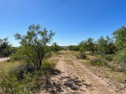 Land for sale in Concho County, Texas