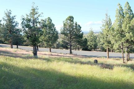 Land for sale in Siskiyou County, California
