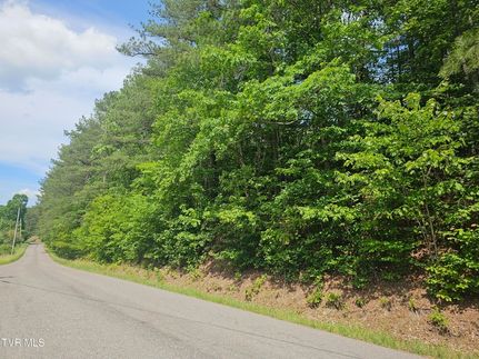 Undeveloped Land for sale in Wise County, Virginia