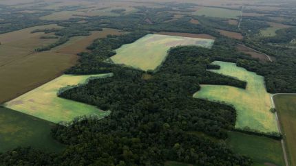 Farm and Ranch for sale in Warren County, Illinois