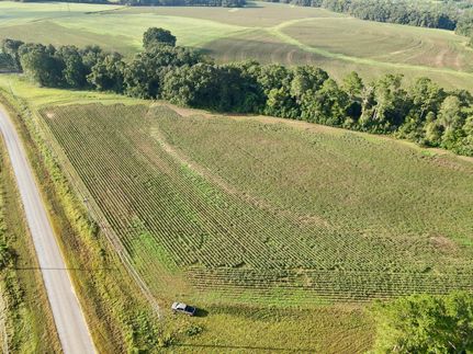 Land for sale in Covington County, Alabama