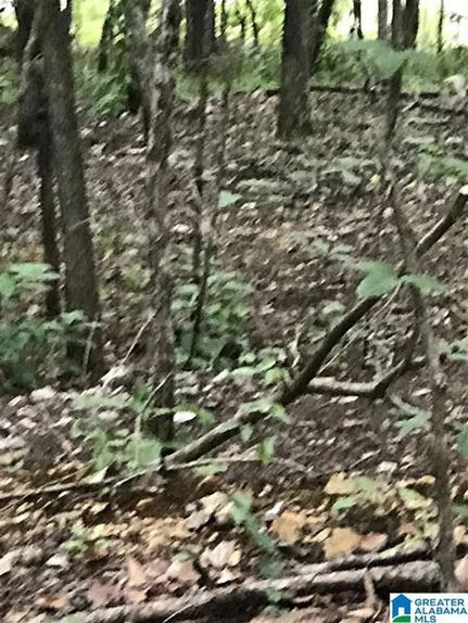 Farm and Ranch for sale in Talladega County, Alabama